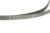 Комплект ремня генератора BMW X1 (F48) 15- B38 A15 INA 529 0516 20 (фото 4)