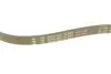 Комплект ременя генератора Ford Transit Custom 2.2 TDCi 12-15 (6PK1685/4PK922) INA 529 0527 10 (фото 9)