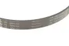 Комплект ремня генератора BMW 3 (F30, F80)/5 (G30/F90)/7 (G11/G12) 15- B46/B48/B58 (6PK1153) INA 529 0566 10 (фото 4)