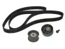 Комплект ГРМ Audi A4/A6/ VW Passat 2.4-2.8 95-05 530 0178 10