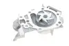 Комплект ГРМ + насос Renault Clio/Kangoo 1.2 16V 01- (23.4x95z) INA 530 0195 30 (фото 3)