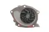 Комплект ГРМ + помпа Renault Trafic II/Master II 1.9dCi 01-, 60/74kw (132x26) INA 530 0196 30 (фото 5)