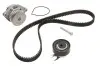 Комплект ГРМ + помпа VW Caddy II/Polo 1.0/1.4 95-04 INA 530019930 (фото 1)