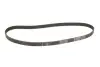 Комплект ГРМ Lancia Delta 1.8 i.e. 16V 96-99 (24x168z) INA 530 0223 10 (фото 2)