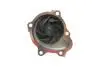 Комплект ГРМ + насос Opel Astra G/Combo/Corsa C 1.7DI/DTI 00- (25x131z) INA 530 0338 30 (фото 6)