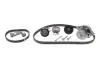 Комплект ГРМ + помпа VW Golf/Bora/Seat 1.4 V16 97-06(130x20/58x17) 530 0360 30 INA 530036030 (фото 1)