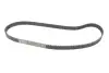 Комплект ГРМ + насос Citroen Jumper/Peugeot Boxer 2.2 HDi 02- INA 530 0368 30 (фото 4)