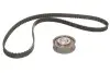 Комплект ГРМ Audi A6/VW Golf IV 2.0 94-02 (18x124z) INA 530039210 (фото 2)
