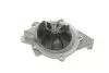 Комплект ГРМ + помпа Peugeot 406/607/807 2.2 HDi 00- (146x25.4) (538 0428 10) INA 530 0446 31 (фото 4)