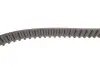 Комплект ГРМ + помпа Ford C-Max/Fiesta/Focus/Mondeo 1.25/1.4/1.6 05-/Volvo 1.6 07-12 (117x22)(PA990) INA 530 0495 30 (фото 3)