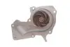 Комплект ГРМ + помпа Ford C-Max/Fiesta/Focus/Mondeo 1.25/1.4/1.6 05-/Volvo 1.6 07-12 (117x22)(PA990) INA 530 0495 30 (фото 9)