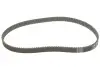 Комплект ГРМ Fiat Panda 1.1i 03- INA 530 0564 10 (фото 4)