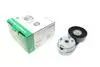 Натяжник ремня генератора Land Rover Discovery/Range Rover 2.7/3.0 04- INA 534 0668 10 (фото 1)