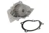 Помпа води Fiat Scudo/Ducato/Citroen Jumpy/Berlingo 1.9D/2.0HDi INA 538 0008 10 (фото 2)