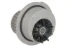 Помпа води Opel Astra F/G/Corsa/Vectra B 1.4/1.6 16V 94-05, z=23 INA 538 0024 10 (фото 1)