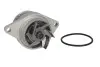 Насос воды VW Caddy 1.4/1.6 95- INA 538 0031 10 (фото 1)