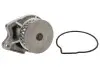 Помпа води Seat Corodba/Ibiza/VW Caddy/Polo 1.0i/1.4 96-02 (27z) INA 538 0033 10 (фото 3)