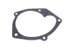 Насос воды Renault Kangoo 1.5dCi 08- (d=74mm), K9K 700/702/704/710/714/716/718/800/802/804/806/812 INA 538 0047 10 (фото 5)