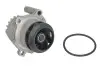 Помпа води VW T5/Caddy 1.9TDI/2.0SDI 03-10, z=19 BSU,BJB,BLS,BDJ,BST,BRR,AXC,BRS,AXB 538 0054 10
