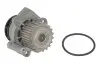 Помпа води VW T5/Caddy 1.9TDI/2.0SDI 03-10, z=19 BSU,BJB,BLS,BDJ,BST,BRR,AXC,BRS,AXB INA 538 0054 10 (фото 2)