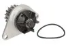 Помпа води Citroen Nemo/Peugeot Bipper 1.4i 08-, z=18 INA 538 0055 10 (фото 1)