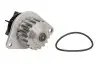 Помпа води Citroen Nemo/Peugeot Bipper 1.4i 08-, z=18 INA 538 0055 10 (фото 2)