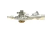 Помпа води Opel Astra G/Corsa B/C 1.0i 12V/1.2i 16V 96-09 INA 538 0081 10 (фото 5)