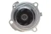 Помпа води VW Caddy III 1.6/BiFuel 04-15 (23z), BGU, BSE, BSF, CHGA INA 538 0088 10 (фото 3)