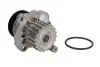 Помпа води VW Caddy III 2.0TDI 07-10/Golf IV 1.9TDI 98- (19z) INA 538 0089 10 (фото 2)