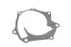 Насос воды Ford Maverick/Nissan Terrano (WD21/R20)/Pick UP (D21) 2.7TDi 4WD 89-98 (TD27T) INA 538 0515 10 (фото 3)