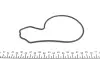 Насос воды Honda Accord VII/Civic VIII/CR-V II-III/FR-V 2.2D 04- INA 538 0617 10 (фото 5)