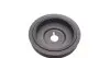 Шкив коленвала Renault Kangoo 1.5dCi -04,2004 (5PK) (с болтом) INA 544 0054 20 (фото 6)