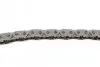 Ланцюг насосу масляного BMW 5 (F10)/7 (F01/F02/F03/F04)/X5 (E70/F15/F85) N63/S63 INA 553 0222 10 (фото 3)