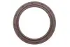 Комплект цепи привода распредвала FIAT/OPEL 1.3JTD 188A8/188A9/199B1/A13DTE/Z13DTH 2003- INA 559 0027 30 (фото 6)