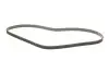 Ремінь генератора Honda CR-V 2.0 16V 4WD 95-02/Subaru Forester/Impreza/Legacy 1.5-2.5 92-09 INA FB 4PK895 (фото 2)