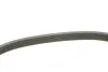 Ремінь генератора Ford Mondeo IV 2.5 07-15/Volvo S60/S80/V60/V70/XC60/XC70 07-16 INA FB 5EPK628 (фото 3)