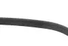 Ремень генератора Citroen Jumper 2.8HDI 00-/Honda Accord 1.9-2.0 93-98/ Toyota Carina 2.0 96-97 INA FB 5PK1100 (фото 3)
