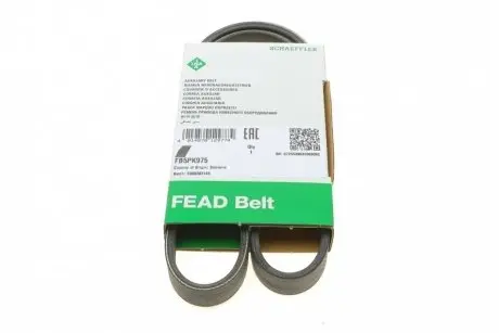 Ремень генератора BMW 5 (E34)/7 (E38)/Citroen BX/Daewoo Lanos/Nexia 85-01(5PK975) INA FB 5PK975