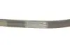 Ремінь генератора Ford Focus/Fiesta/Fusion 1.25-1.6 99-12/Mazda 2 1.25-1.6 03-07 INA FB 6EPK1042 (фото 5)