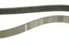 Ремень генератора Nissan Tiida 1.8 07-12/Fiat Ducato 2.0 94-02 /Renault Espace 3.5 V6 02- INA FB 6PK1105 (фото 5)