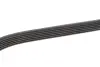 Ремень генератора MB C-class (W202)/E-class (W210) 2.0 97-03/Opel Corsa D 1.3 CDTI 06-14 INA FB 6PK1330 (фото 4)