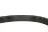 Ремінь генератора Fiat Doblo 1.3/1.6D 10-/Ducato 2.2D/Ford Transit 2.2TDCI 06- INA FB6PK1670 (фото 4)