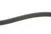 Ремінь генератора Citroen Berlingo 1.6HDI 06-/Fiat Ducato/Doblo 2.0D 10-/Scudo 1.6D 07- (6PK1705) INA FB 6PK1705 (фото 3)