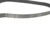 Ремень генератора Jeep Wrangler 4.0 91-96/Volvo S90/V90 2.9 97-98/Ford Scorpio 2.0/2.3 94-98 INA FB 6PK1755 (фото 3)