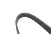 Ремень генератора Jeep Wrangler 4.0 91-96/Volvo S90/V90 2.9 97-98/Ford Scorpio 2.0/2.3 94-98 INA FB 6PK1755 (фото 4)