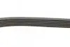 Ремінь генератора Opel Combo/Astra/Vectra/Omega 1.2-2.2 91-03/BMW 1 (E81/E87) 2.0D 04-11 INA FB 6PK1800 (фото 2)