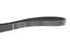 Ремінь генератора MB C-class (W202) 2.0 95-01 INA FB 6PK1863 (фото 4)