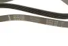 Ремень генератора MB C-class (W202)/E-class (W211) 2.2CDI/2.7CDI 98-09 INA FB 6PK2250 (фото 2)