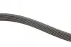 Ремінь генератора MB S-class (W221/W222)/E-class (W212) 4.7-5.5 11-17/Porsche Macan 3.0-3.6 14- INA FB 6PK2528 (фото 2)