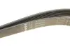 Ремінь генератора Jeep Cherokee/Liberty 2.5/2.8 CRD 01- (6PK2870) INA FB 6PK2870 (фото 3)